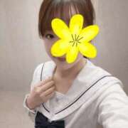 ヒメ日記 2025/12/29 11:49 投稿 るり ピュアコス学園