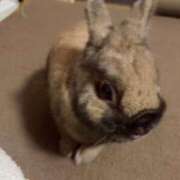 ヒメ日記 2026/01/29 21:40 投稿 小嶺 麗奈 熟女・人妻マダム宮殿