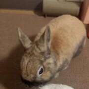 ヒメ日記 2026/02/03 21:16 投稿 小嶺 麗奈 熟女・人妻マダム宮殿