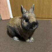 ヒメ日記 2026/02/22 12:40 投稿 小嶺 麗奈 熟女・人妻マダム宮殿