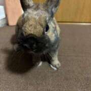 ヒメ日記 2026/02/25 23:33 投稿 小嶺 麗奈 熟女・人妻マダム宮殿