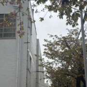 ヒメ日記 2026/03/25 14:29 投稿 小嶺 麗奈 熟女・人妻マダム宮殿