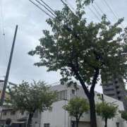 ヒメ日記 2026/04/01 13:56 投稿 小嶺 麗奈 熟女・人妻マダム宮殿