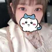 ゆーゆ 今日からまた❣️ 変態ドットコム～即尺痴女伝説