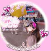 ヒメ日記 2026/02/07 04:48 投稿 うた ルーフ福井