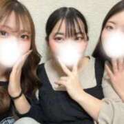 ヒメ日記 2026/02/07 16:21 投稿 うた ルーフ福井