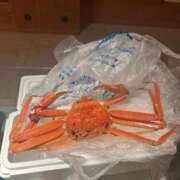 ヒメ日記 2026/01/08 16:33 投稿 よる ルーフ福井