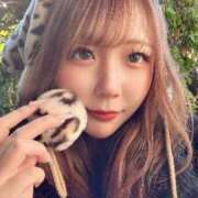 ヒメ日記 2026/01/09 01:18 投稿 よる ルーフ福井