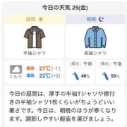 ヒメ日記 2026/09/25 08:33 投稿 東雲みい 大人めシンデレラ 新横浜店（シンデレラグループ）