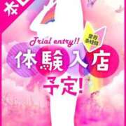 はむちゃん テスト びくびくサークル五反田店