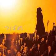 ヒメ日記 2025/12/30 20:40 投稿 つばめ 奥鉄オクテツ東京店（デリヘル市場）