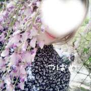 ヒメ日記 2026/05/26 07:10 投稿 つばめ 奥鉄オクテツ東京店（デリヘル市場）