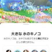 いずみ 食洗機を買っては如何でしょう？🤔 府中ダービー