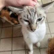 ヒメ日記 2026/01/05 04:13 投稿 いずみ 府中ダービー