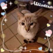 ヒメ日記 2026/01/09 21:03 投稿 いずみ 府中ダービー