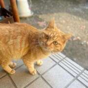 ヒメ日記 2026/02/24 00:53 投稿 いずみ 府中ダービー