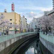 ヒメ日記 2026/03/22 00:23 投稿 いずみ 府中ダービー