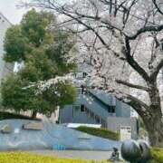 ヒメ日記 2026/03/27 17:52 投稿 いずみ 府中ダービー