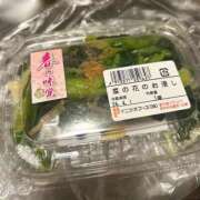 ヒメ日記 2026/04/01 08:28 投稿 いずみ 府中ダービー