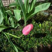 ヒメ日記 2026/04/02 00:08 投稿 いずみ 府中ダービー