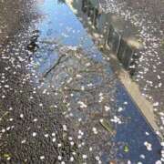 ヒメ日記 2026/04/02 16:42 投稿 いずみ 府中ダービー