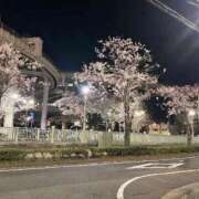 ヒメ日記 2026/04/03 10:38 投稿 いずみ 府中ダービー