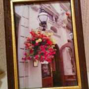 ヒメ日記 2026/04/05 21:38 投稿 いずみ 府中ダービー