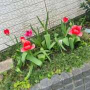 ヒメ日記 2026/04/08 16:18 投稿 いずみ 府中ダービー