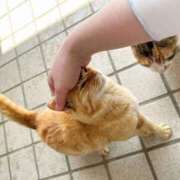 ヒメ日記 2026/04/11 17:18 投稿 いずみ 府中ダービー