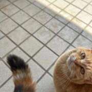 ヒメ日記 2026/04/13 15:18 投稿 いずみ 府中ダービー