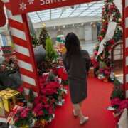 ヒメ日記 2025/12/28 14:11 投稿 ゆかり 妻天 日本橋店