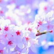 ヒメ日記 2026/04/07 14:52 投稿 みかこ 出会い系人妻ネットワーク さいたま～大宮編