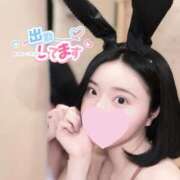 ヒメ日記 2026/01/08 08:20 投稿 シェリー いたずらバニーちゃん
