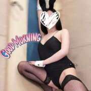 ヒメ日記 2026/01/10 07:20 投稿 シェリー いたずらバニーちゃん