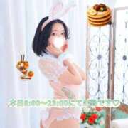 ヒメ日記 2026/01/29 06:40 投稿 シェリー いたずらバニーちゃん