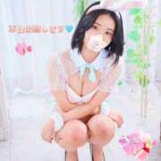 ヒメ日記 2026/02/04 08:50 投稿 シェリー いたずらバニーちゃん