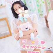 ヒメ日記 2026/02/04 10:30 投稿 シェリー いたずらバニーちゃん