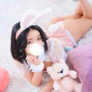 ヒメ日記 2026/02/14 10:50 投稿 シェリー いたずらバニーちゃん