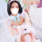 ヒメ日記 2026/02/19 11:07 投稿 シェリー いたずらバニーちゃん