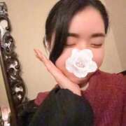 ヒメ日記 2026/03/02 15:20 投稿 シェリー いたずらバニーちゃん