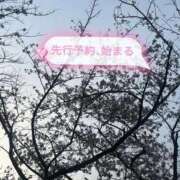 ヒメ日記 2026/04/09 07:20 投稿 シェリー いたずらバニーちゃん