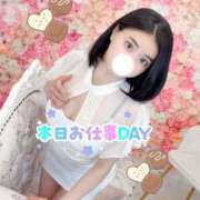 ヒメ日記 2026/04/10 06:40 投稿 シェリー いたずらバニーちゃん