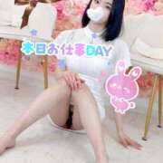 ヒメ日記 2026/04/12 06:40 投稿 シェリー いたずらバニーちゃん