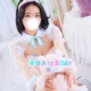 ヒメ日記 2026/04/16 06:30 投稿 シェリー いたずらバニーちゃん