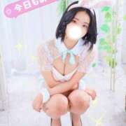 ヒメ日記 2026/04/17 18:20 投稿 シェリー いたずらバニーちゃん