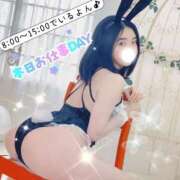 ヒメ日記 2026/04/23 06:00 投稿 シェリー いたずらバニーちゃん