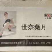 ヒメ日記 2026/01/03 12:39 投稿 葉月 Salon du Mーえっちなお姉さんのM性感デリバリーー大阪店