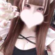 ヒメ日記 2025/12/27 00:57 投稿 さんご LEVEL1