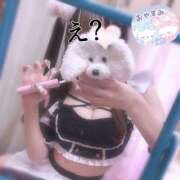 ヒメ日記 2025/12/27 22:31 投稿 さんご LEVEL1