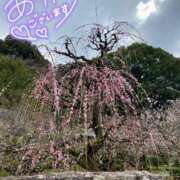 ヒメ日記 2026/01/04 22:27 投稿 和花-NODOKA- luxury aroma 咲